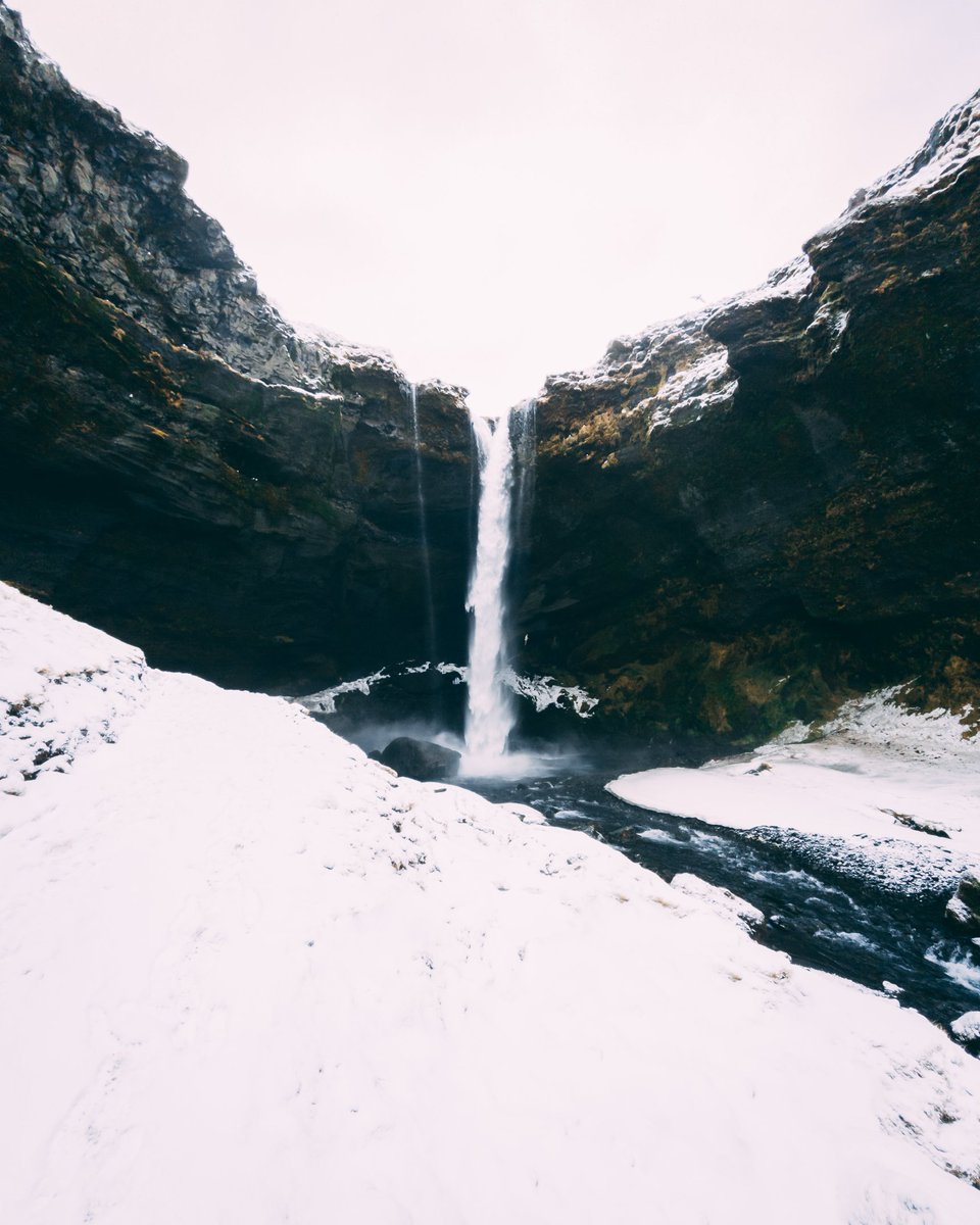 Lee Gale tweet media