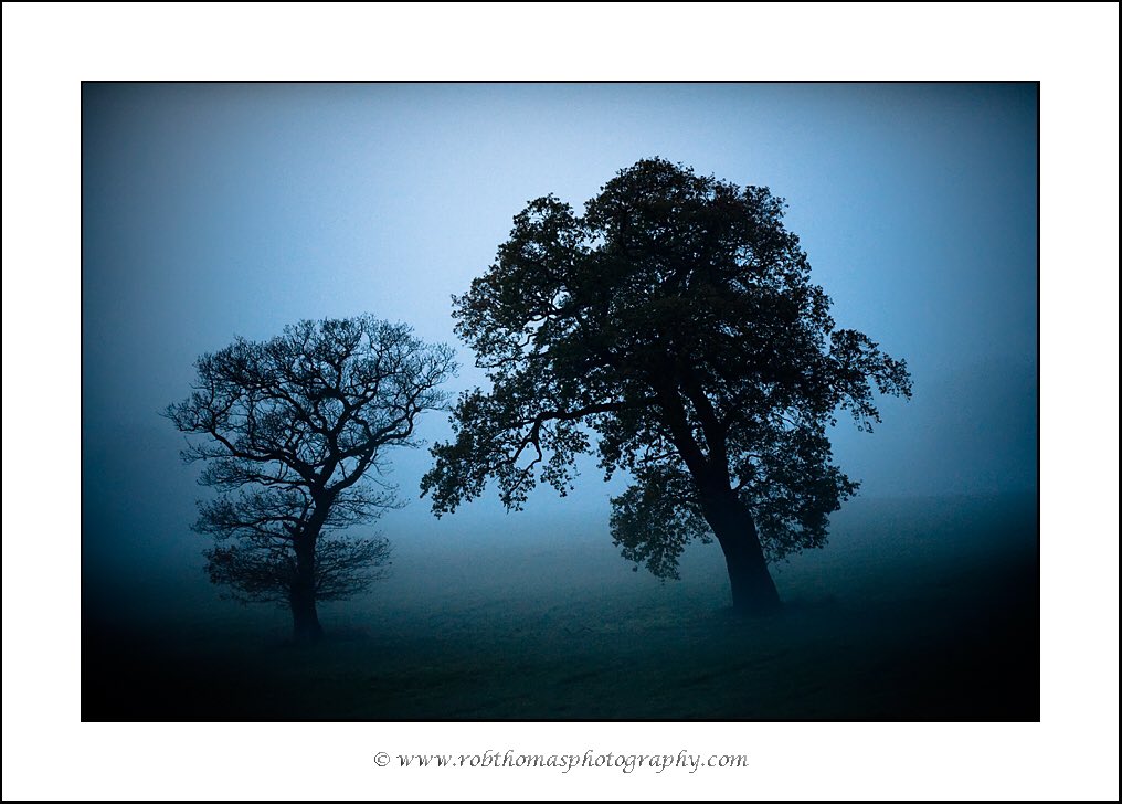 robthomasphoto's tweet photo. @VisualsbySauter ‘The Conversation’
#mist #mistytrees https://t.co/eSSMymYWEh