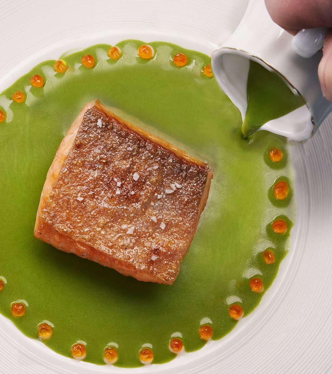 DavidYBishop's tweet photo. Salmon Trout with sorrel cream and caviar.  https://t.co/RxV6BNWzPE
@hseanbrock 

#hospitality #hotelindustry #hotelmarketing #resorts #hotelsandresorts #foodanddrink #cruiseindustry #marketing #marketingcontent #marketingandadvertising #restaurant #seafood #davidbishop https://t.co/aMrSnWU5k1