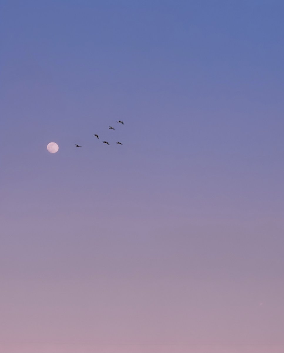 AlexKittoe's tweet photo. Under the same moon 🎞 https://t.co/I3vX7EgSof