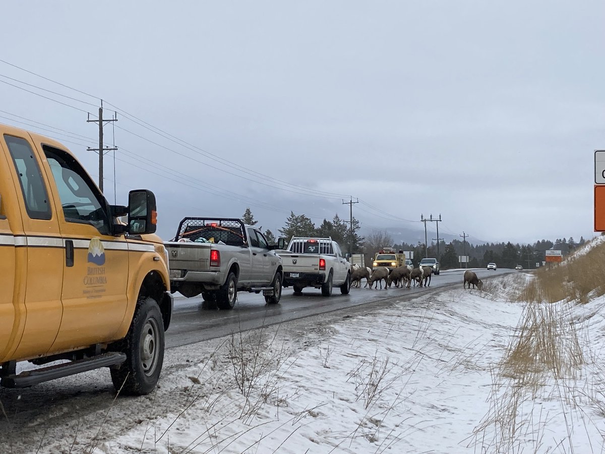 TranBC tweet picture