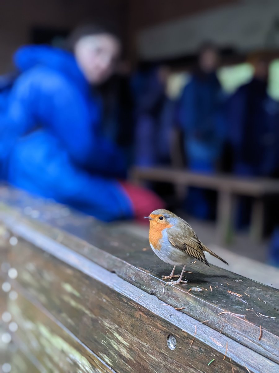 BlairvadachAndy's tweet photo. Day three with @AnderstonPS exploring the #flora ☘️ and #fauna 🐿️ of the @lomondtrossachs on our #landadventure day, alongside @BlairvadachAMC team!🙌
Cracking #resilience and #effort on another wet and windy one here @BlairvadachOEC 🌧️💪
Last full day tomorrow!
#AnderstonBV23 https://t.co/INSZQewJOg