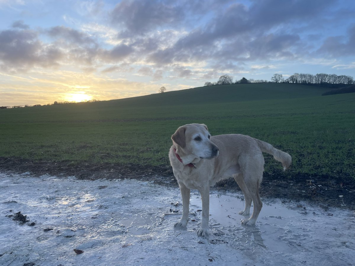 Liz Tomkinson tweet media