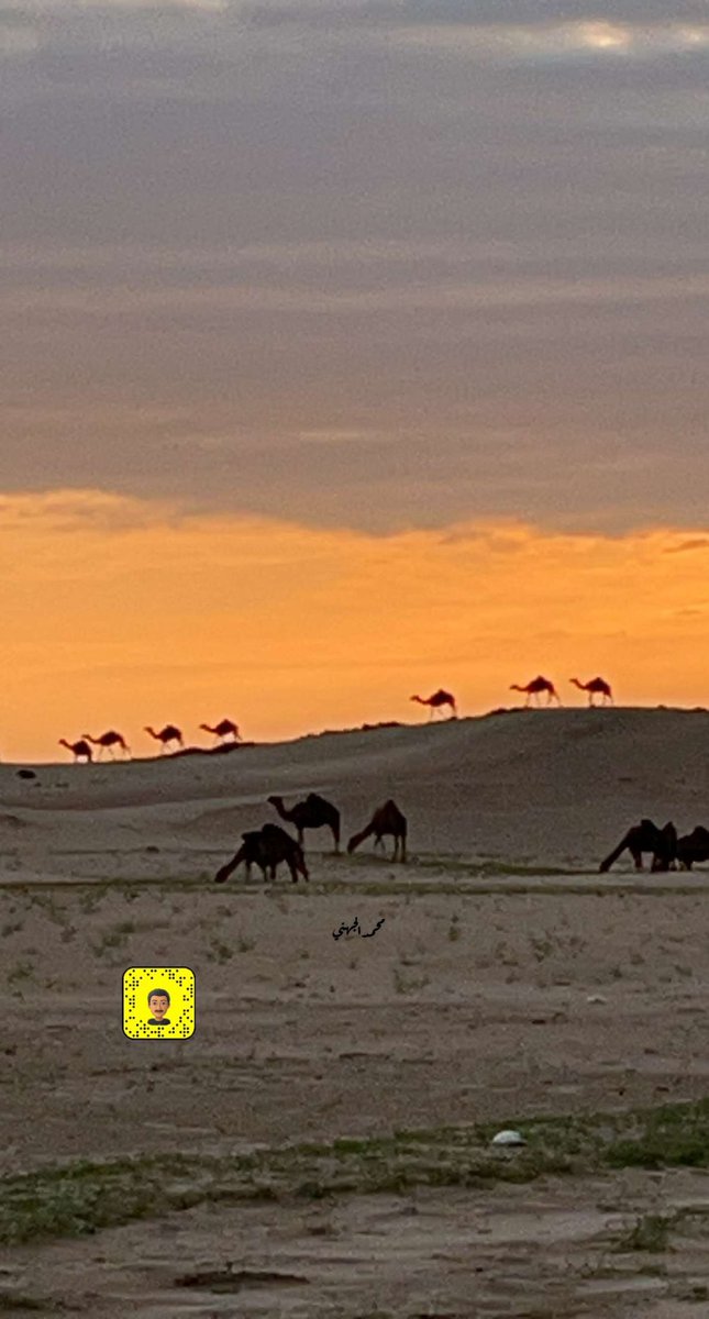 fe1700e's tweet photo. #صوره_من_تصويرك 
اليوم جنوب مكة https://t.co/CO3cU0y6YW