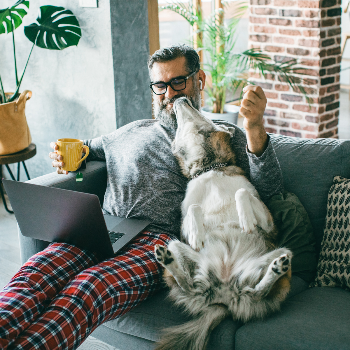 WFH = Our furry friend’s dream 🐾