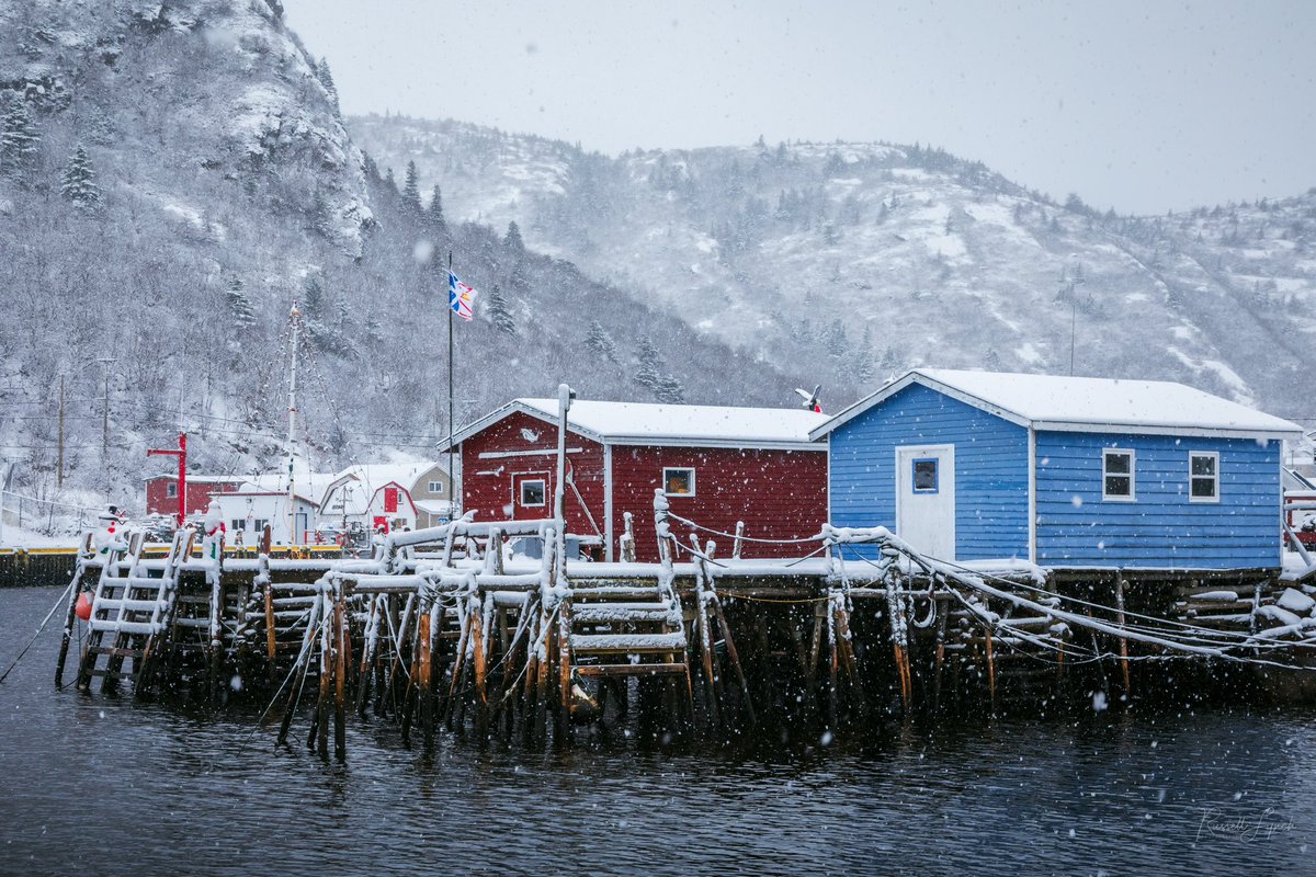 Winter days in Petty Harbour Newfoundland!
.
.
.
.
#WinterVibes #Newfoundland #ShareYourWeather #lovestjohns #cbcnl #picoftheday #bestkind #canada #sharecangeo #explorenl #nlwx @DestinationSJ @saltscapes @downhomelife @CanGeo