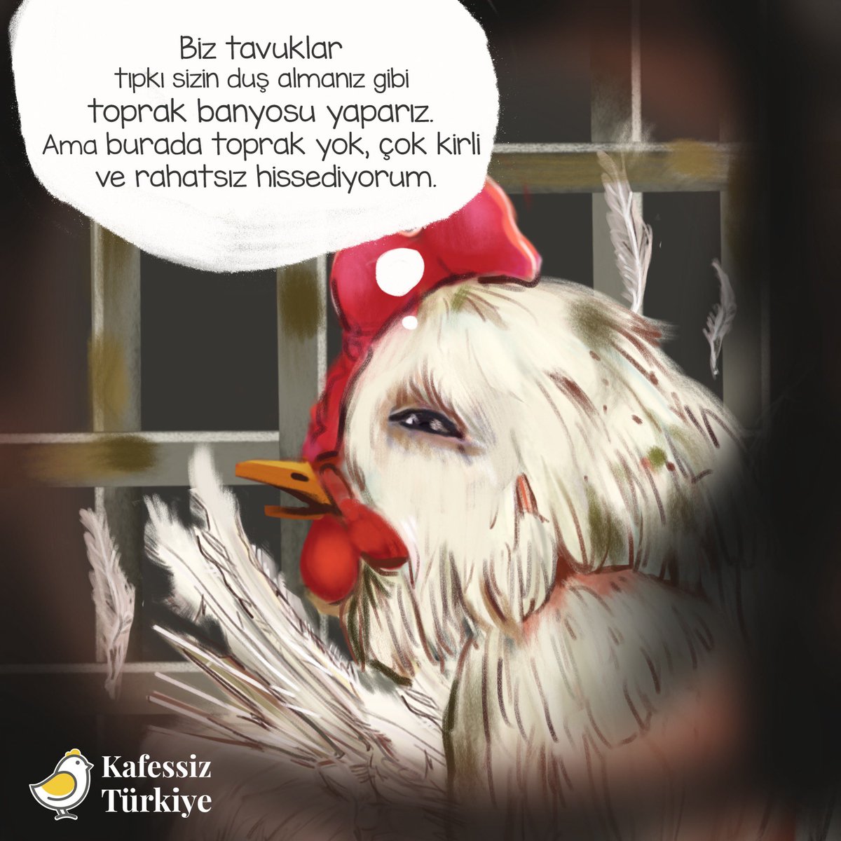 KafessizTurkiye's tweet photo. Toprak banyosu tavuk sağlığı için hayati önem taşıyan ihtiyaçlardandır. İçgüdülerinde olan rahatlık, güven, sağlık ve huzuru toprak banyosuyla bulurlar. 

Onların tek umudu sensin. Lütfen Maya’nın sesini daha fazla insana duyurmak için bu postu paylaş. 🧡 https://t.co/eeOSRlJvPs