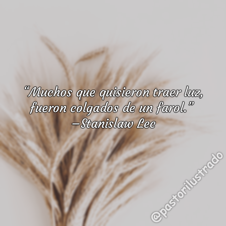 pastorilustrado's tweet image. Stanislaw Lec #cita #defectos #intolerancia