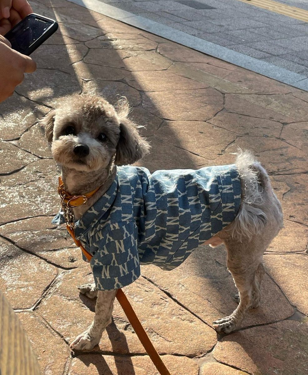 looking at you dumbfounded