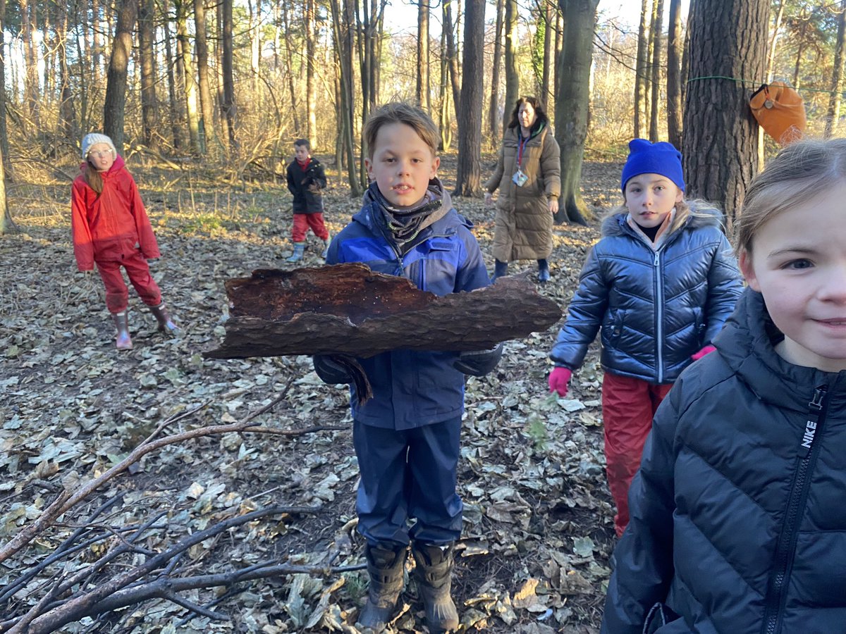 dpsforestschool tweet media