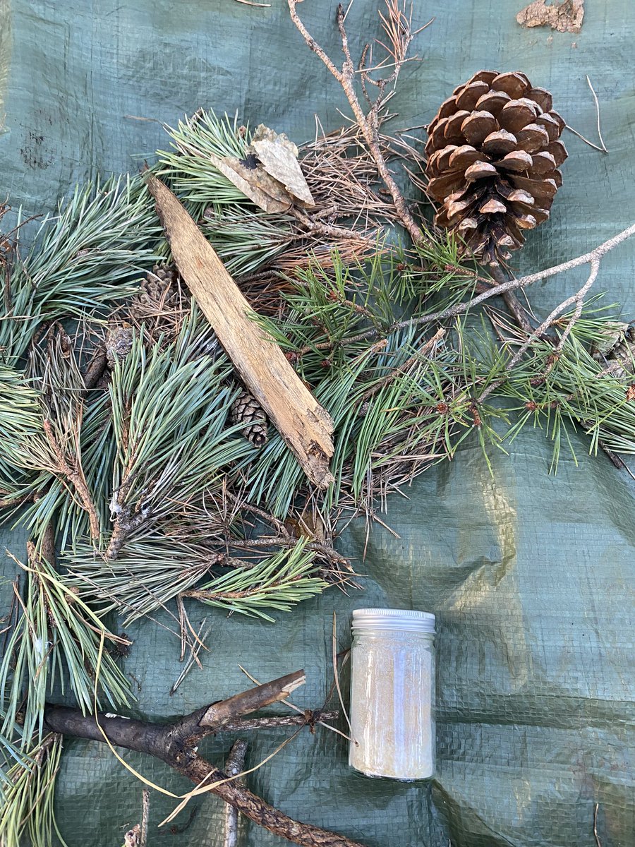 dpsforestschool tweet media