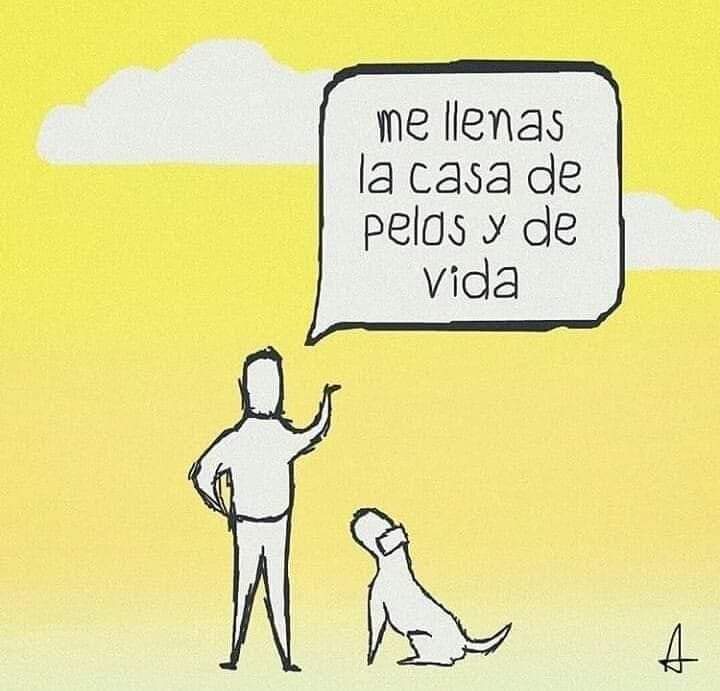 #AdoptaNoCompres 

#AdoptaYSalvaUnaVida 

#Noalmaltratoanimal