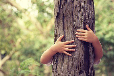 Tendencias digitales para 2023

Todo lo que las #pymes tienen que saber para encarar este año que ya se presenta desafiante y #digital 

Leé la nota completa acá: proxyinteractive.com/proxy/notebook…