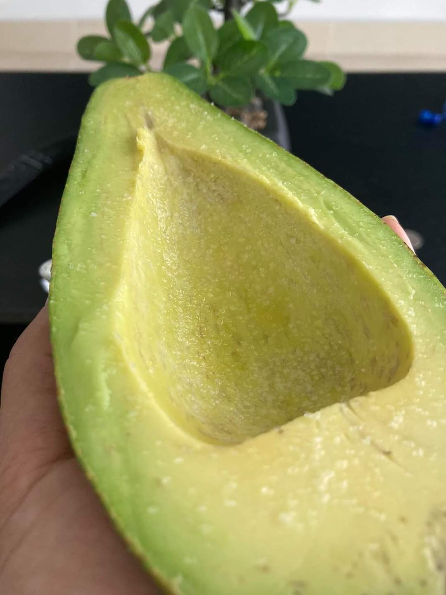PaulRincon10's tweet photo. No entiendo como existe personas que no les guste el aguacate. 

Esto es lo más rico qué hay 🤤🥑 https://t.co/NzsFHHolD7