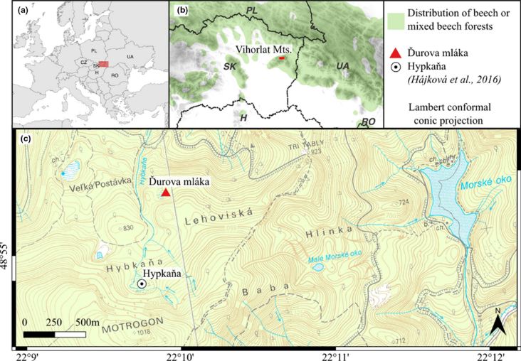 Climate-driven fires have shaped vegetation dynamics in the Carpathians by promoting highly diversified beech forest. These changes were significantly modified by later human activities 🌳🔥 doi.org/10.1111/jbi.14… #fire #biodiversity #disturbanceecology #holocene