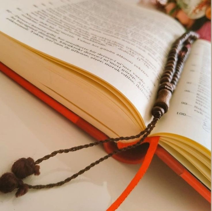 İnsan her Allah dediğinde Allah'a yürür,her Lâ ilâhe ilallah dediğinde ise Allah'a koşar...📿