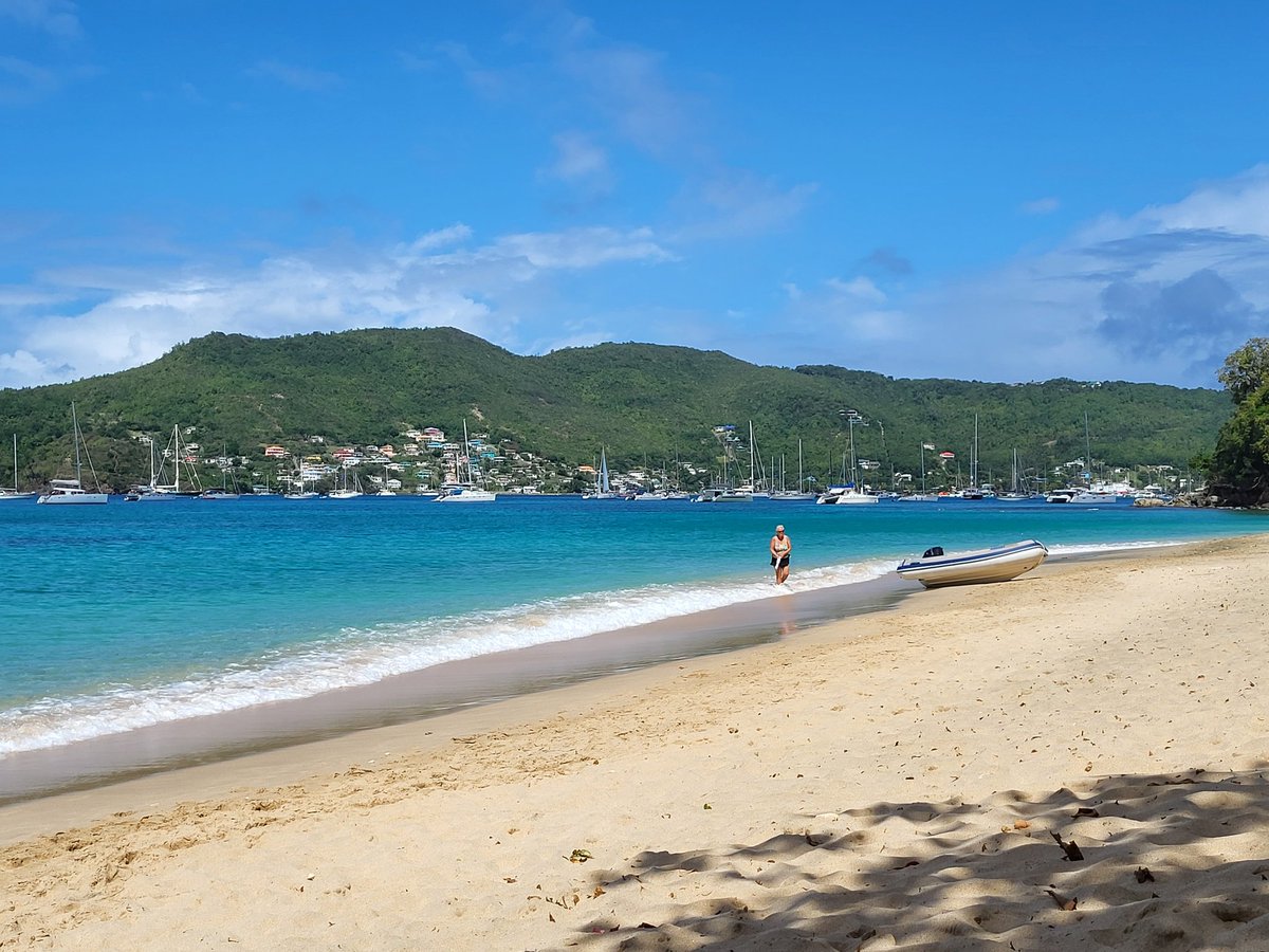 🌎Andrea🌍 tweet media