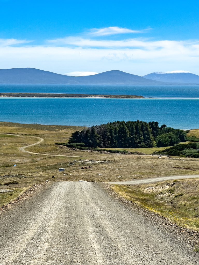 amylou2114's tweet photo. Hill Cove Forest - it may not be big, but it’s still a magical place on #westfalklands 🥰
#falklandislands #smallforest https://t.co/lGKRjSEmjI