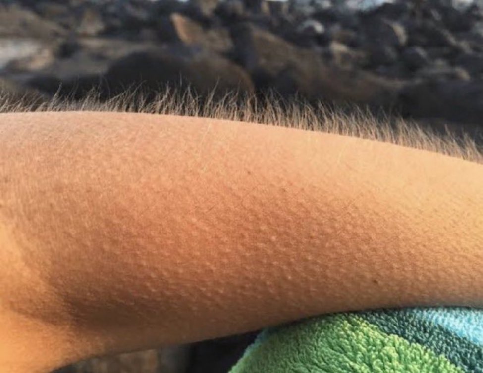 touchlinefracas's tweet image. What moment in football history made you feel like this?