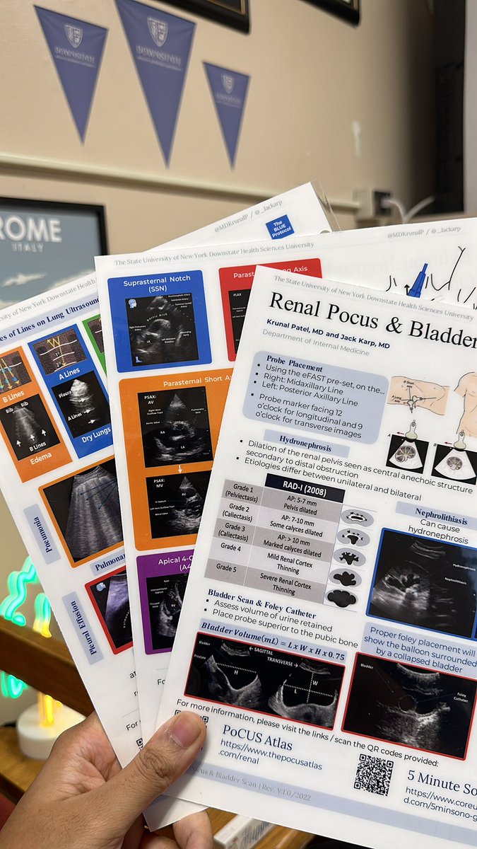 Just some of the books and resources for our inspiration for <a href="/_jackarp/">Jack</a> and I ‘PoCUS One-Pagers.’
