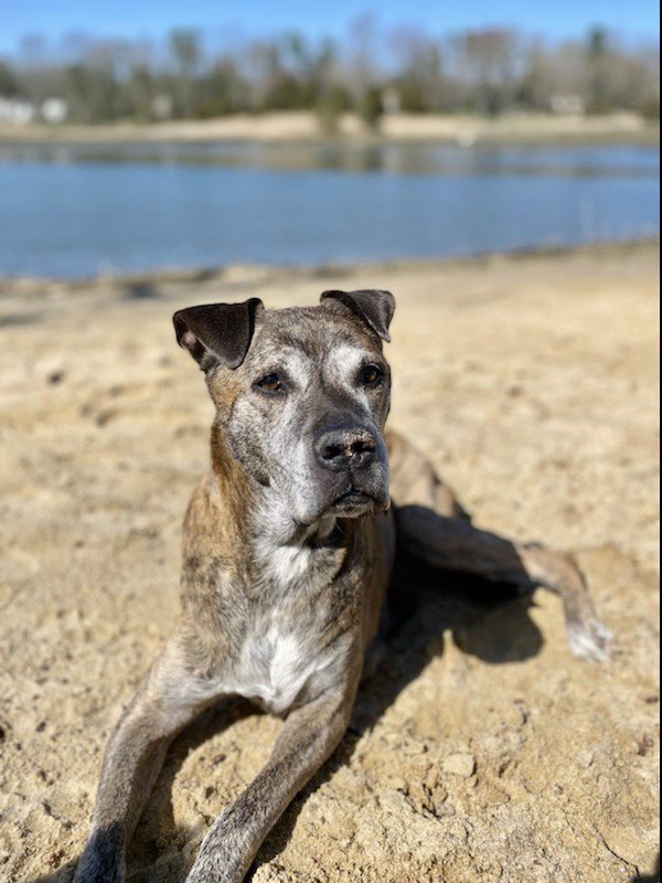 Jon Cooper 🇺🇸 tweet media