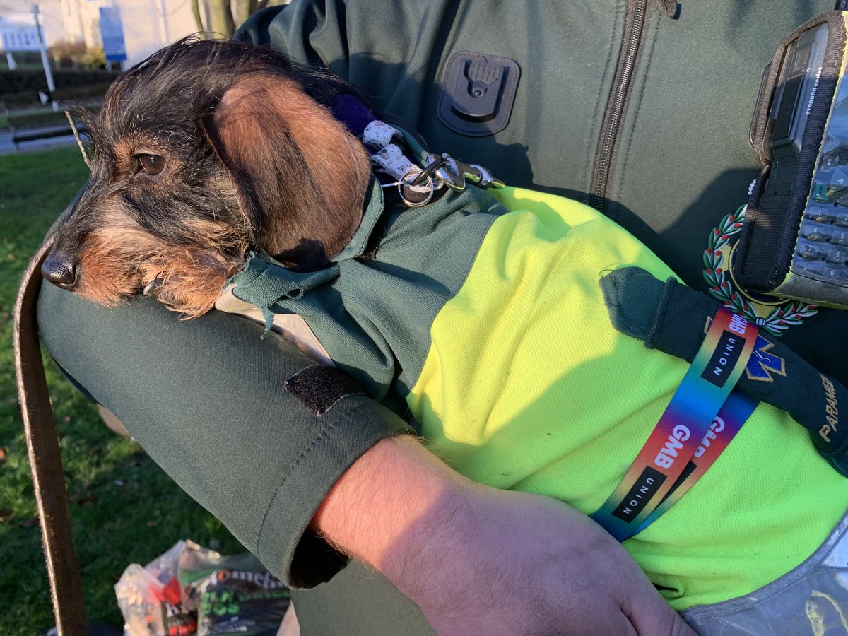 Laurence Herdman ๐ง๐ป๐ (@lozherdman) on Twitter photo Reported from <a href="/GMBSouthern/">GMB Southern Region</a> picket line with Luna the #Paramedic dog at Wareham ambulance station early doors, then forced into emergency stop on way home to avoid stray dog resulting in minor RTA + trip to minor injuries ๐๐ซข๐ #ambulancestrike <a href="/swasFT/">South Western Ambulance Service</a> #NHSStrikes <a href="/NHSDorset/">NHS Dorset</a> Reported from <a href="/GMBSouthern/">GMB Southern Region</a> picket line with Luna the #Paramedic dog at Wareham ambulance station early doors, then forced into emergency stop on way home to avoid stray dog resulting in minor RTA + trip to minor injuries ๐๐ซข๐ #ambulancestrike <a href="/swasFT/">South Western Ambulance Service</a> #NHSStrikes <a href="/NHSDorset/">NHS Dorset</a>
