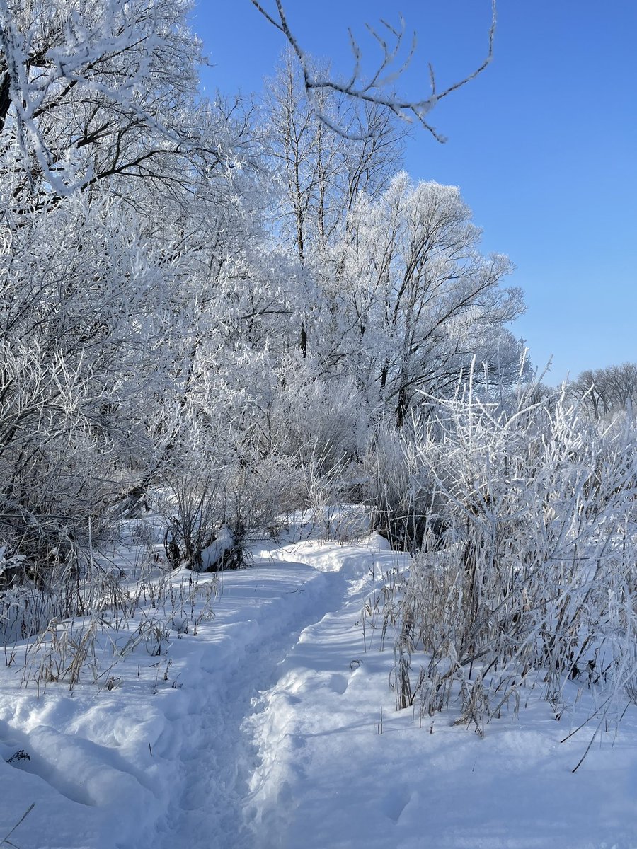 OLOFMrP's tweet image. A5) #TMCTalks I ❤️ my #WinterWonderlandWalks