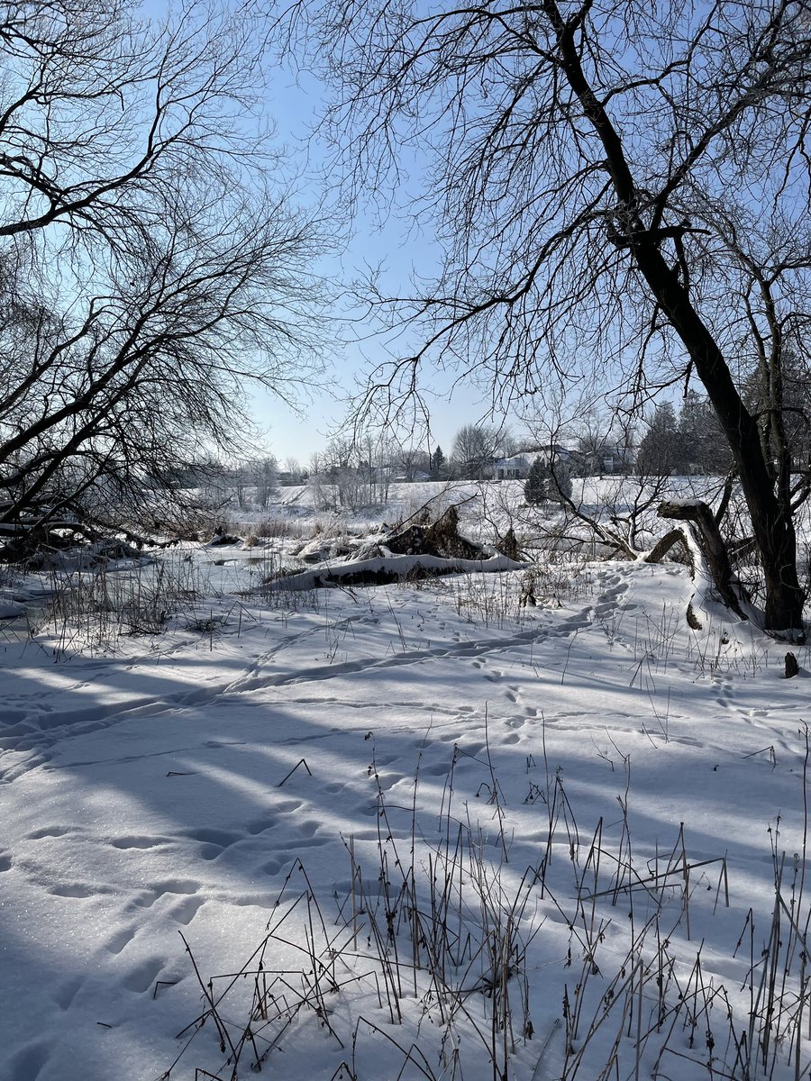 OLOFMrP's tweet image. A5) #TMCTalks I ❤️ my #WinterWonderlandWalks