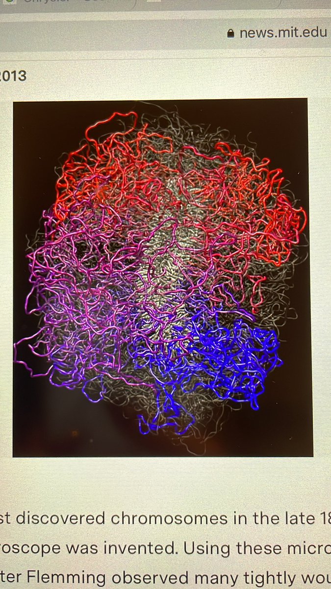 Kim_dela_kim_'s tweet image. The formation of a child’s life is like fusion almost #fusion #helion #fusionreactor @Helion_Energy