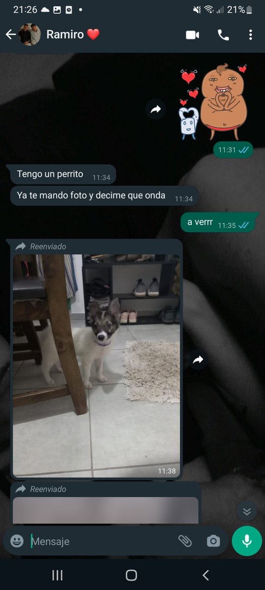 Agossstinag's tweet photo. como empezó/ como va https://t.co/cB6hz72Qsq