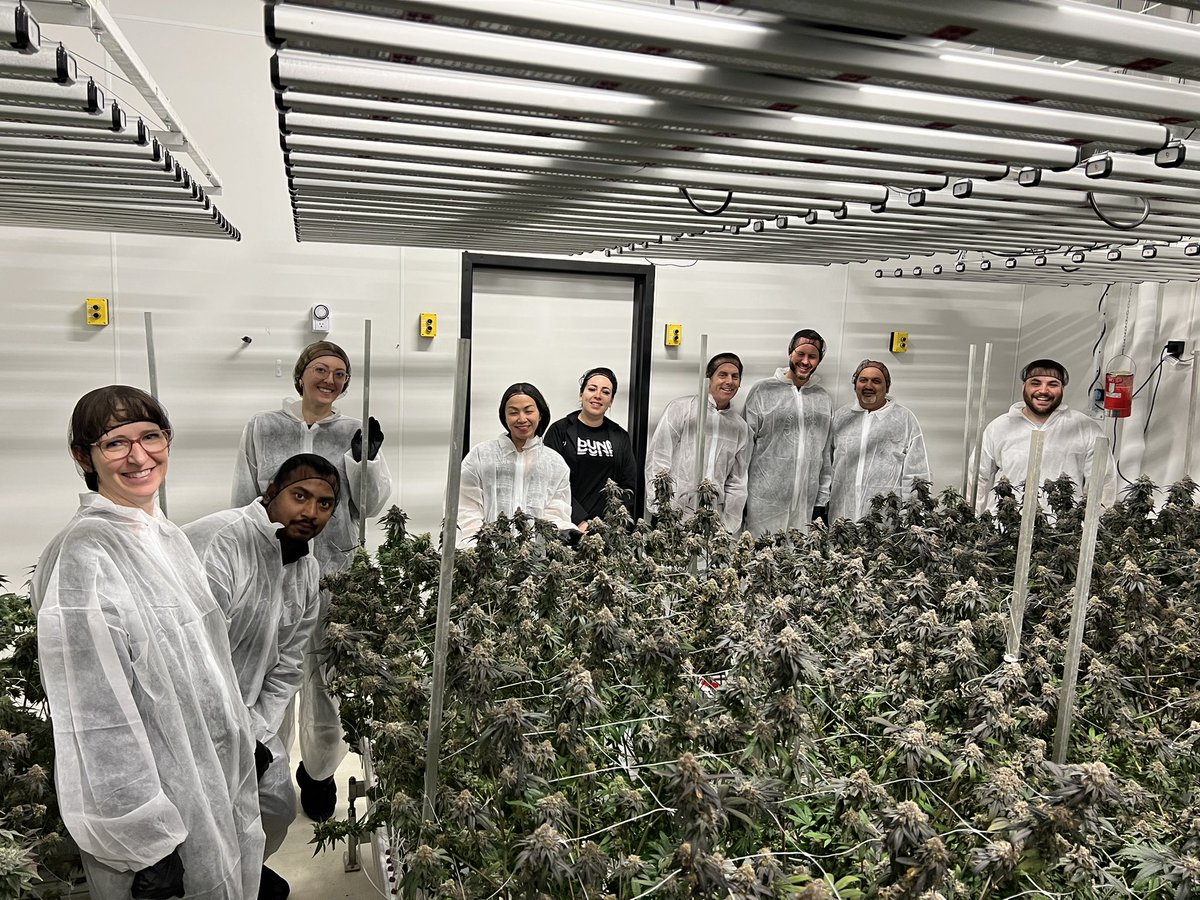 Today was a GREAT day ! We had the pleasure of touring <a href="/AGLC/">AGLC</a> our small but mighty Facility and <a href="/iwanttobzam/">BZAM™ | Home of BZAM Cobra Lips</a> showed off the processing operations. It was a special moment. Cheers to cannabis ! #dunncannabis