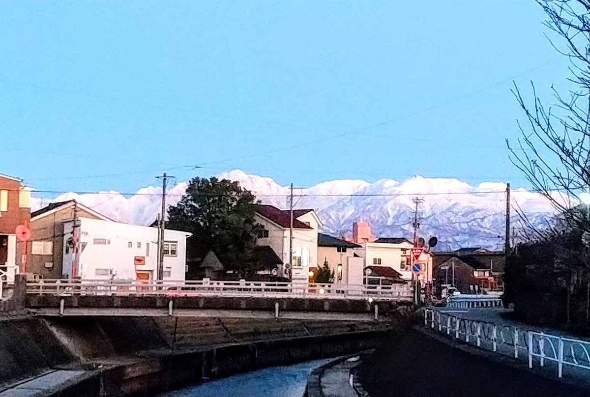 春に何を植えようか…🌸
#畑 https://t.co/SxLwAqduRL