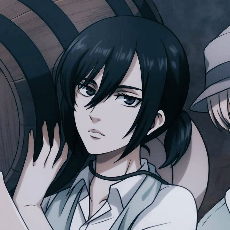 Mikasa ackerman Incomparable #aot #mikasaackerman #AOTプラス