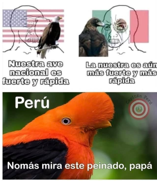 10kayser10's tweet photo. en 30 min enciendo directo pa ver que sale
https://t.co/ivziVc0BW2 https://t.co/3mqyo2jL9k