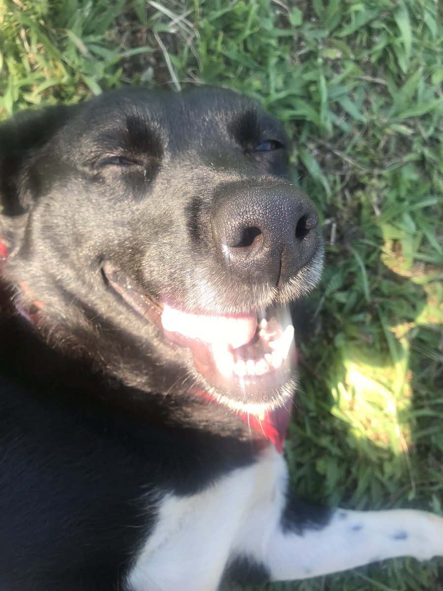 nandapdroso's tweet photo. como começou | como está https://t.co/w7sVTqCi40