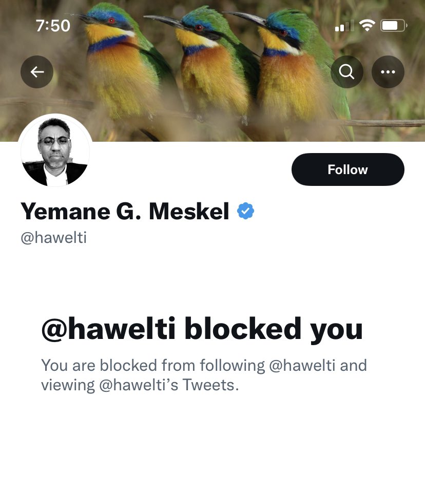 WediMahta's tweet photo. Seeing tweets of people reporting that the #Eritrean minister of information @hawelti has blocked them make me wonder why would a government official block citizens from accessing information on tweeter. Don’t he know, technically, he is being paid from public resources? #Eritrea https://t.co/64ZcfwkSq4