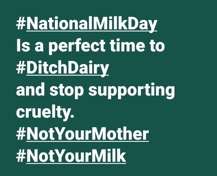 PrancerPaw's tweet photo. #NationalMilkDay
Is a perfect time to #DitchDairy
and stop supporting cruelty.
#NotYourMother
#NotYourMilk https://t.co/Di5WOPI60q