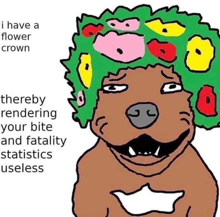 HowdyTHOT's tweet photo. @MattWalshBlog But guys!!! Look my pit bull is cute, therefore rendering the overwhelming amount of statistics irrelevant cos my dog is cute and won’t eat my cat and/or small child. Please ignore the stats https://t.co/ssyzSXagDT