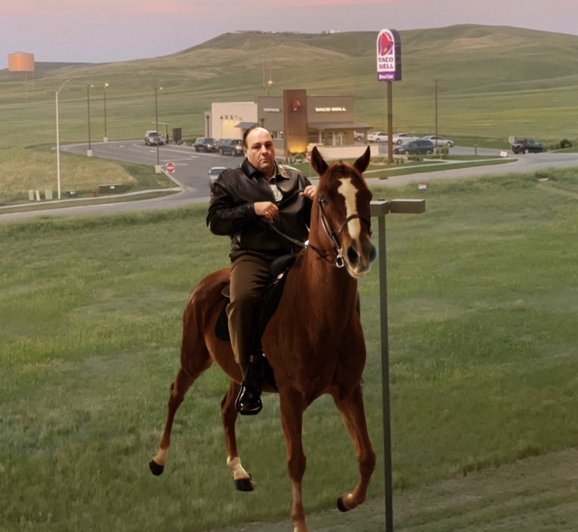 SopranosWorld's tweet image. Therapist: Any weird dreams lately?

Me: No not really 

My dreams: