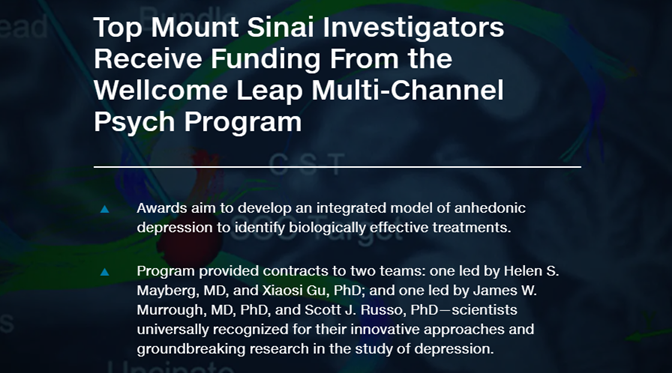 A big thank you to @WellcomeLeap for supporting our research identifying body fluid-based biosignatures of treatment-resistant anhedonic depression. 

Excited to work with co-PI, Dr. James Murrough, to develop predictive models based on these outcomes: reports.mountsinai.org/article/grad20…