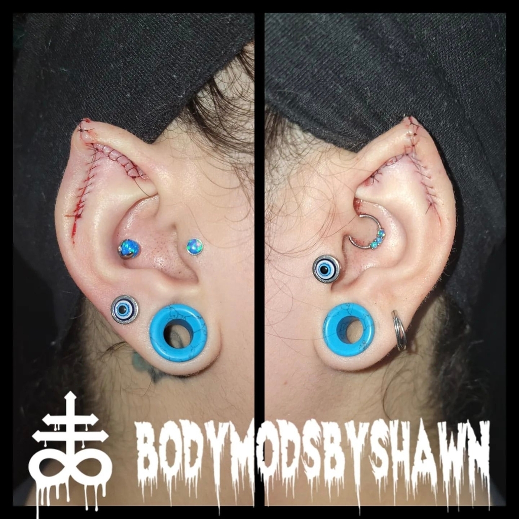 piercingandmods's tweet photo. Repost from @shawnohare on Instagram.
Fresh ear points!
#steriwash #elfear #elfears #pointedears #pointedear #earpoints #bodymod #bodymodification #earpointing #shawnohare #steriwashproteam #bodymodsbyshawn #bmezine #bodymodificationartist https://t.co/GpB9TBSueg