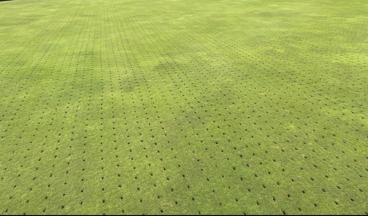 Gibsons greens tweet media