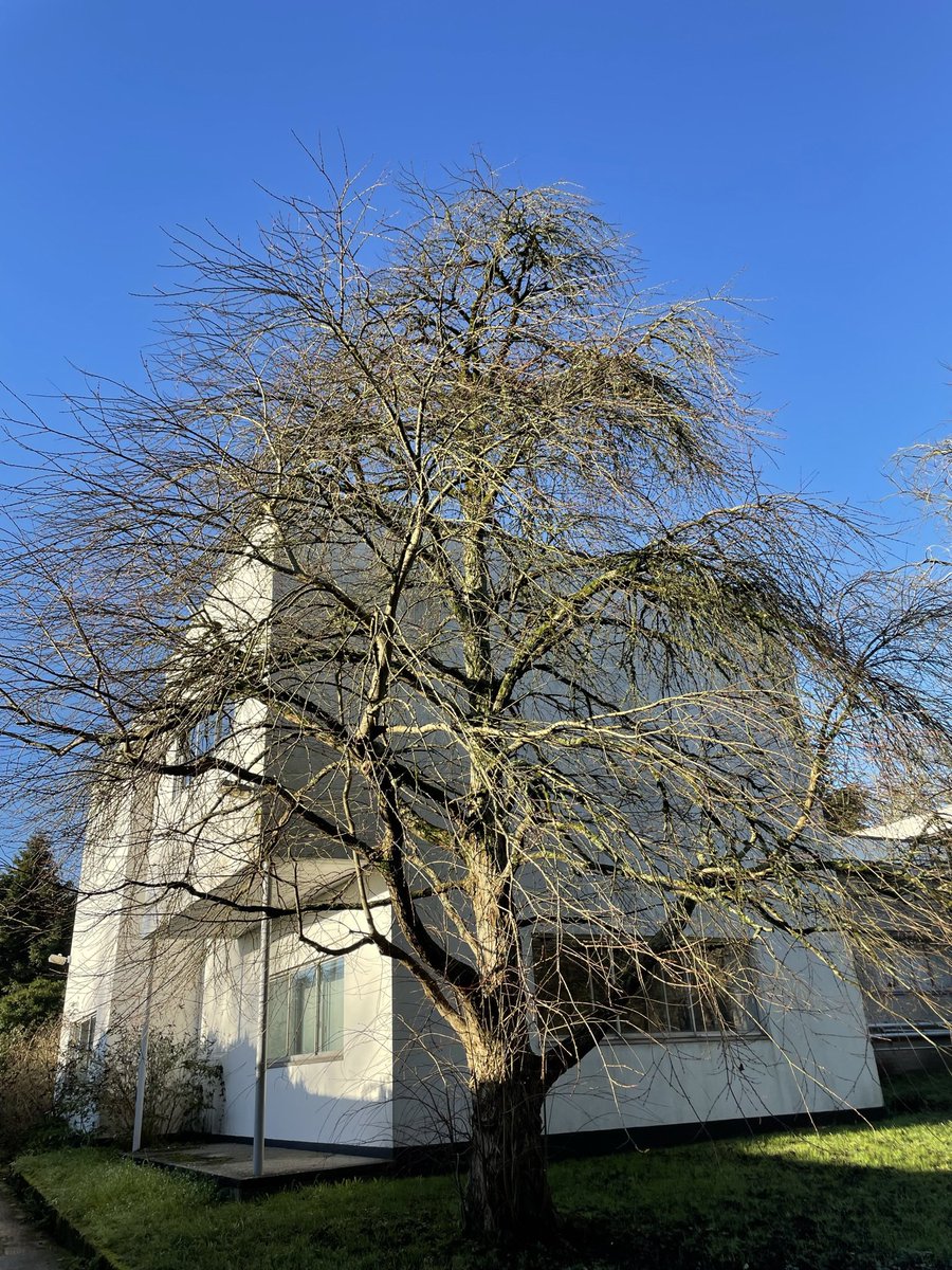 Talk Action tweet media