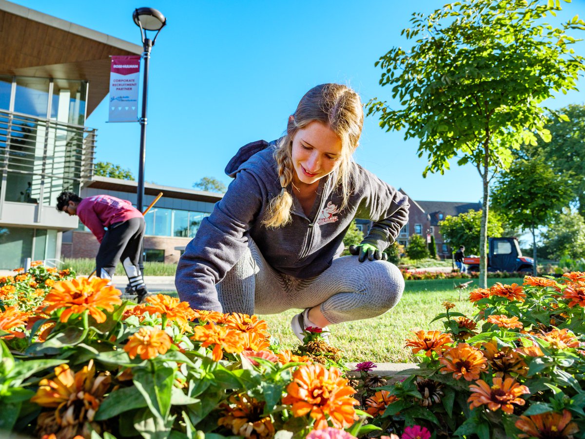 Rose-Hulman tweet media