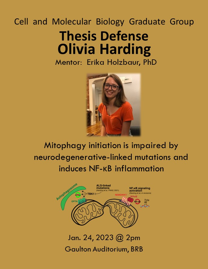 CAMB Graduate Group tweet media