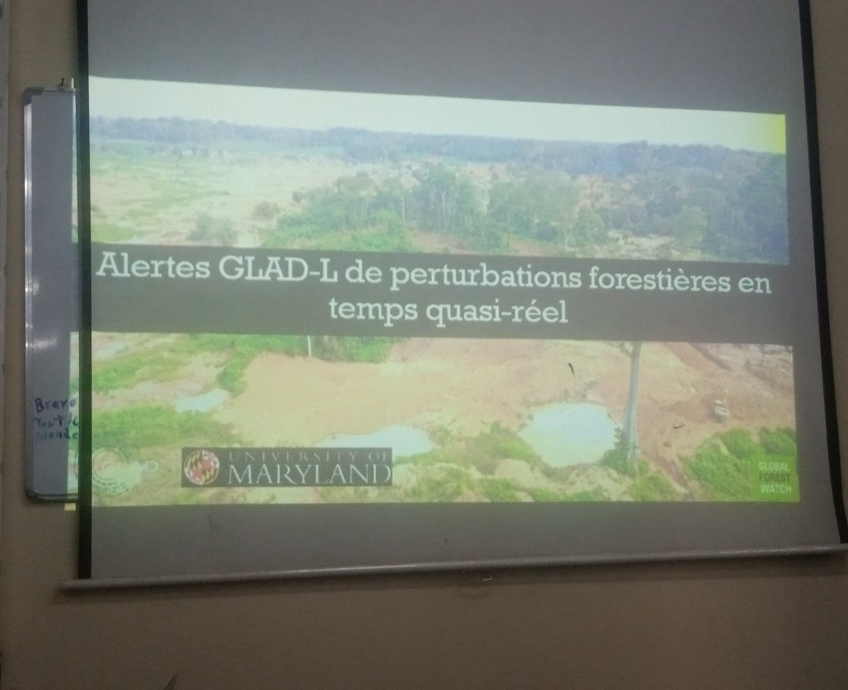 The Open Timber Portal is an website to promote legal timber by improving access to information for forestry operators and CSOs. We are proud to have received training in the use of this innovative technology at Forestry Département University of Dschang.
<a href="/flag/">Flag</a>
<a href="/WorldResources/">World Resources Institute</a>