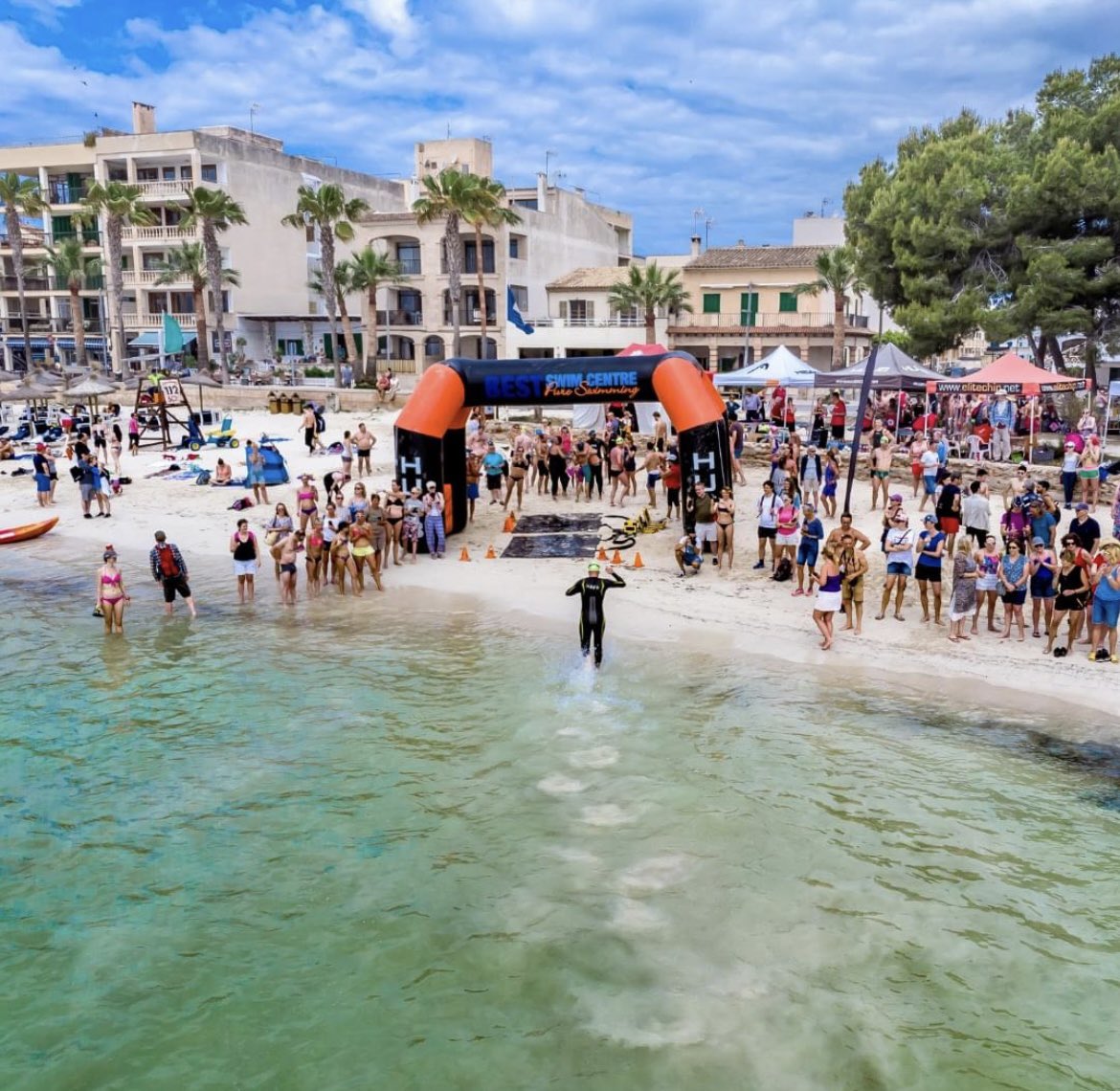 BEST Fest tweet media