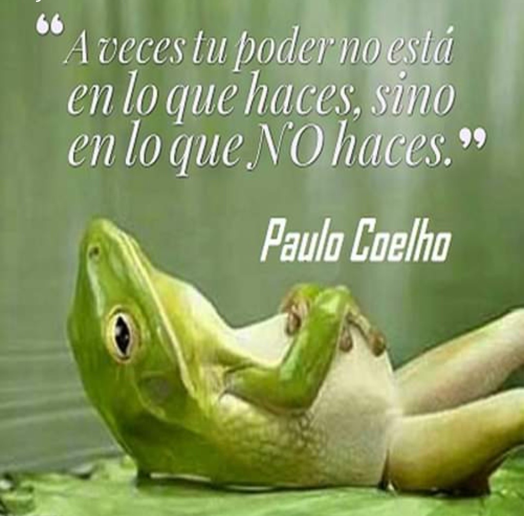 PauloCoelhoDice's tweet photo. https://t.co/Yro5AZjO0p