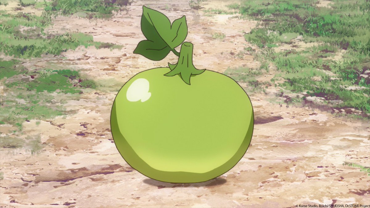 Dr. STONE EN on Twitter "Disguised melon or melon in disguise 🤔🍈"