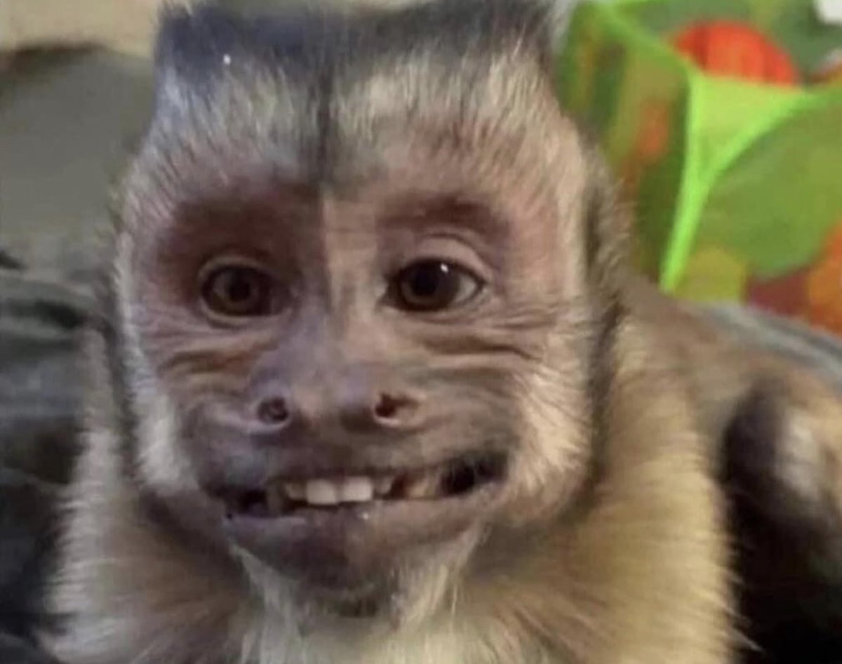 El Guarromántico tweet media